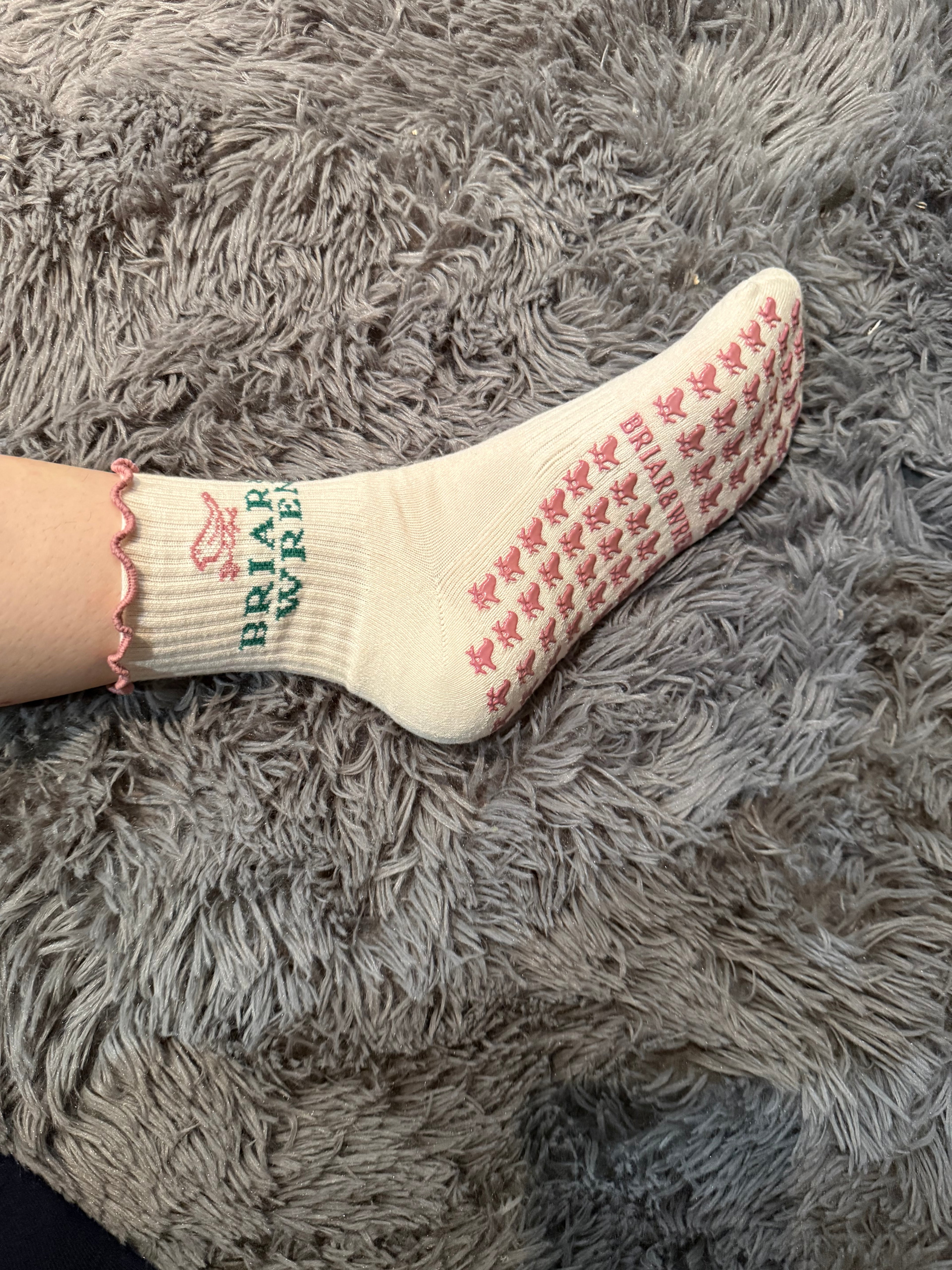 A little birdie told me...