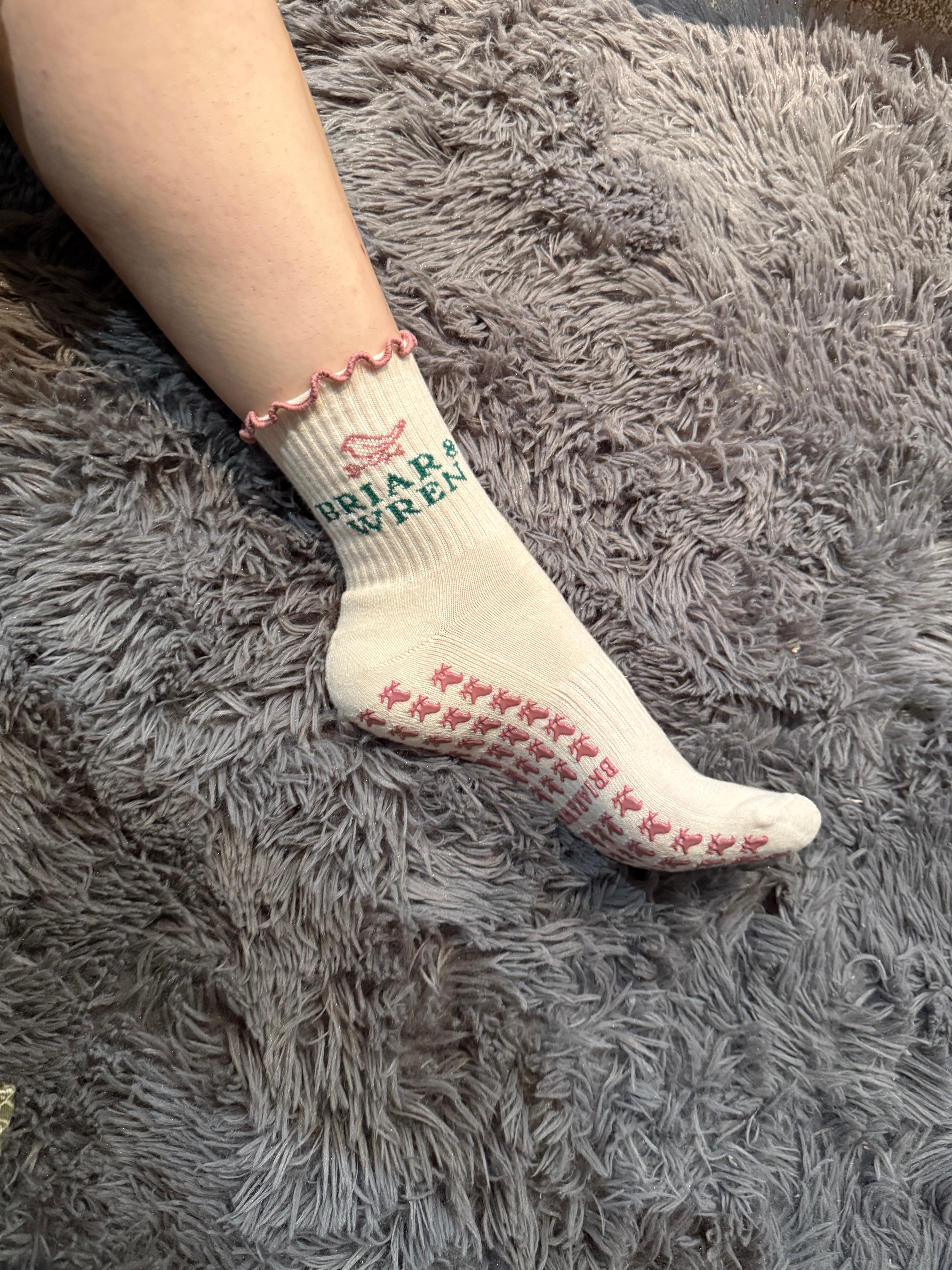 A little birdie told me...